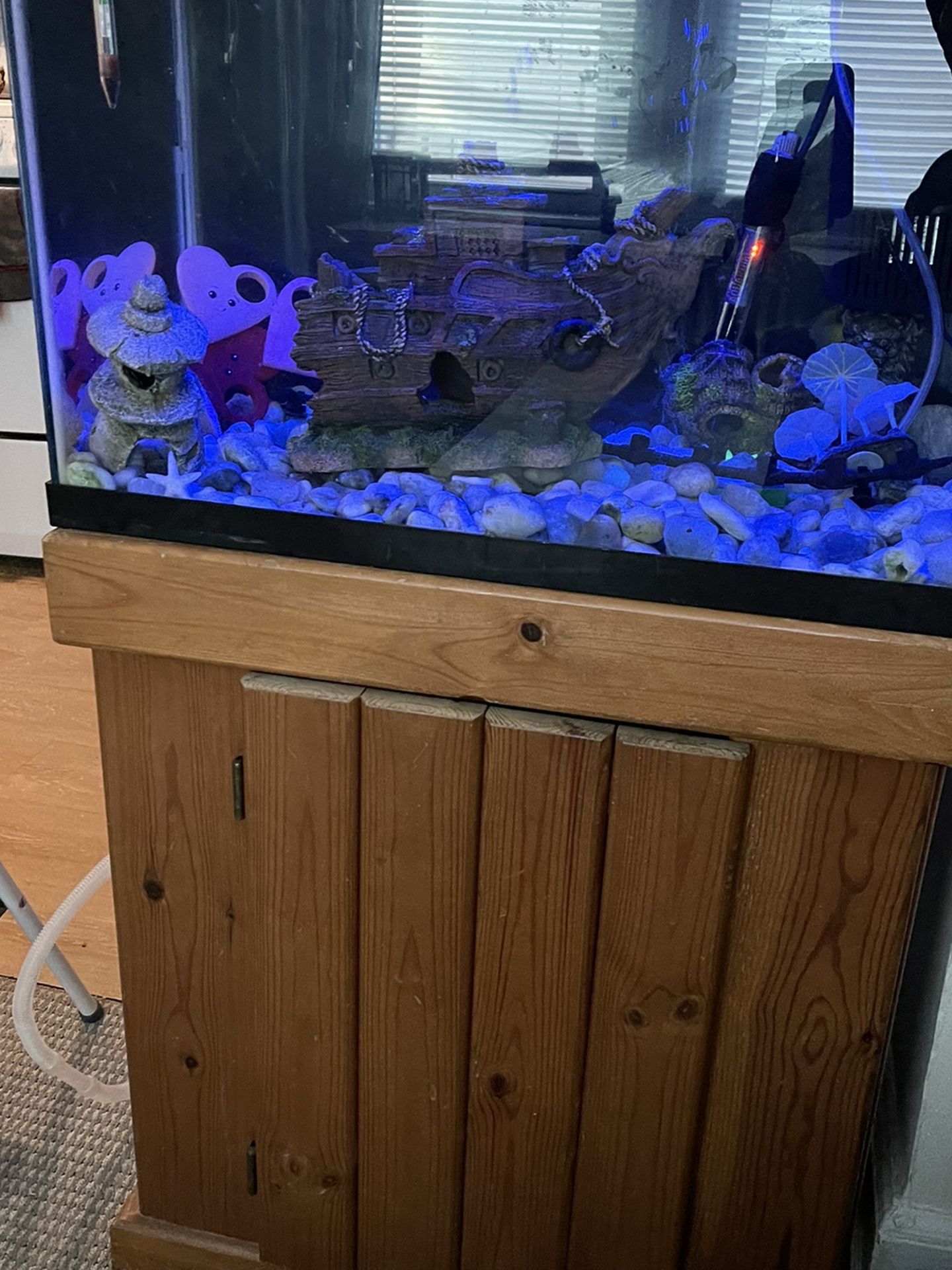 20 Gallon Fish Tank With Everything You Need Plus 3 Fishes