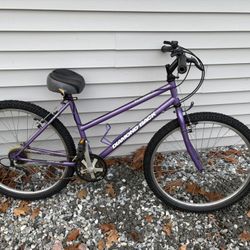 Purple Diamond Back Bike 