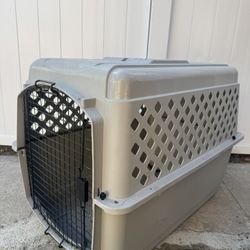 Big Dog Kennel 