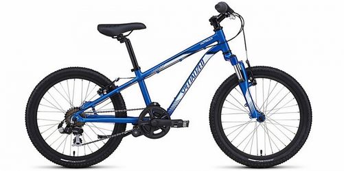 Specialized hot rock 20” bike.
