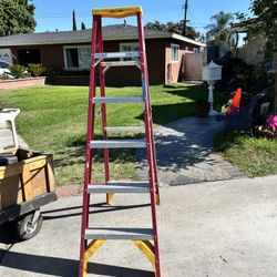 Ladder 6 Feet’s