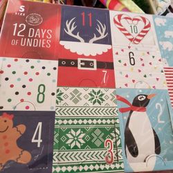 Holiday 12 Days Of Undies, Sealed Box, New, Size Small