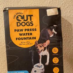 Dog Water Toy