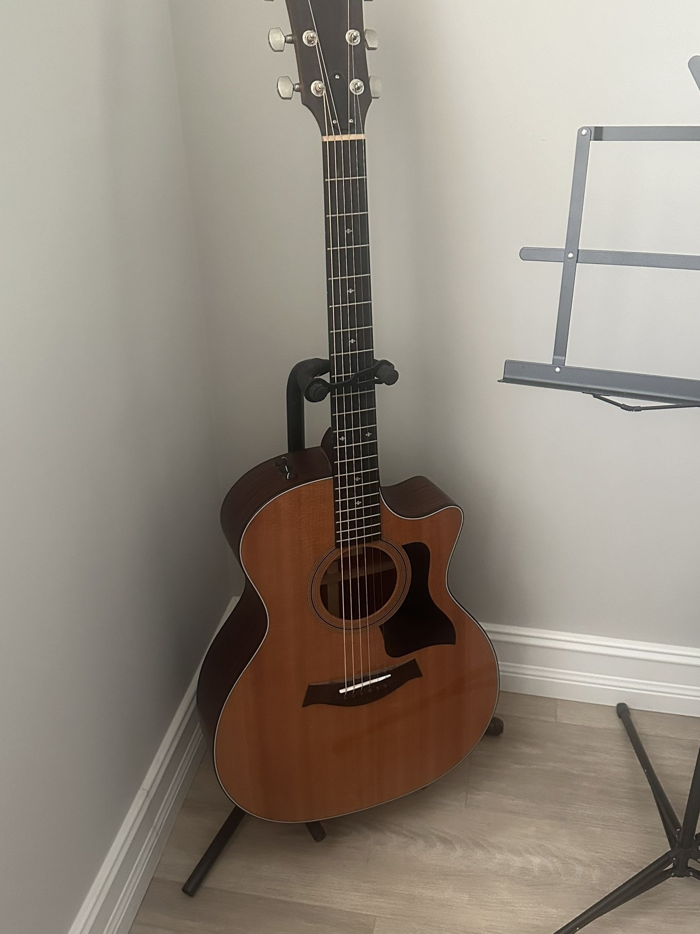 Taylor 314ce Grand Auditorium Cutaway brand New!!
