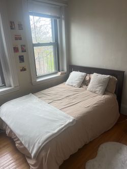 Free Queen Bed + Matress
