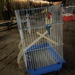 Casa Para Pájaros 