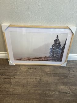 Picture With Frame (NEW)