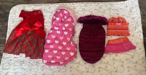 Dog Clothes 🐶