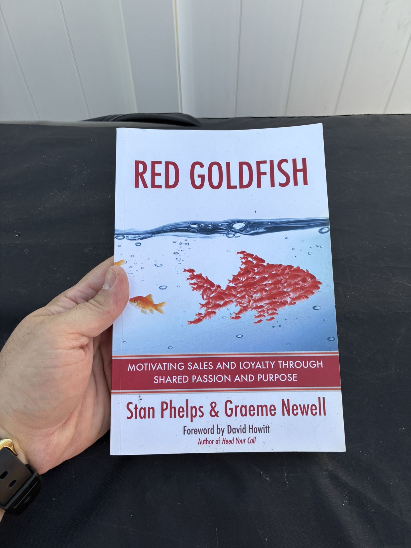 Red Goldfish by Stan Phelps & Graeme Newell