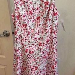 Size 6 Dress New With Tag - Pickup From Northridge Area 