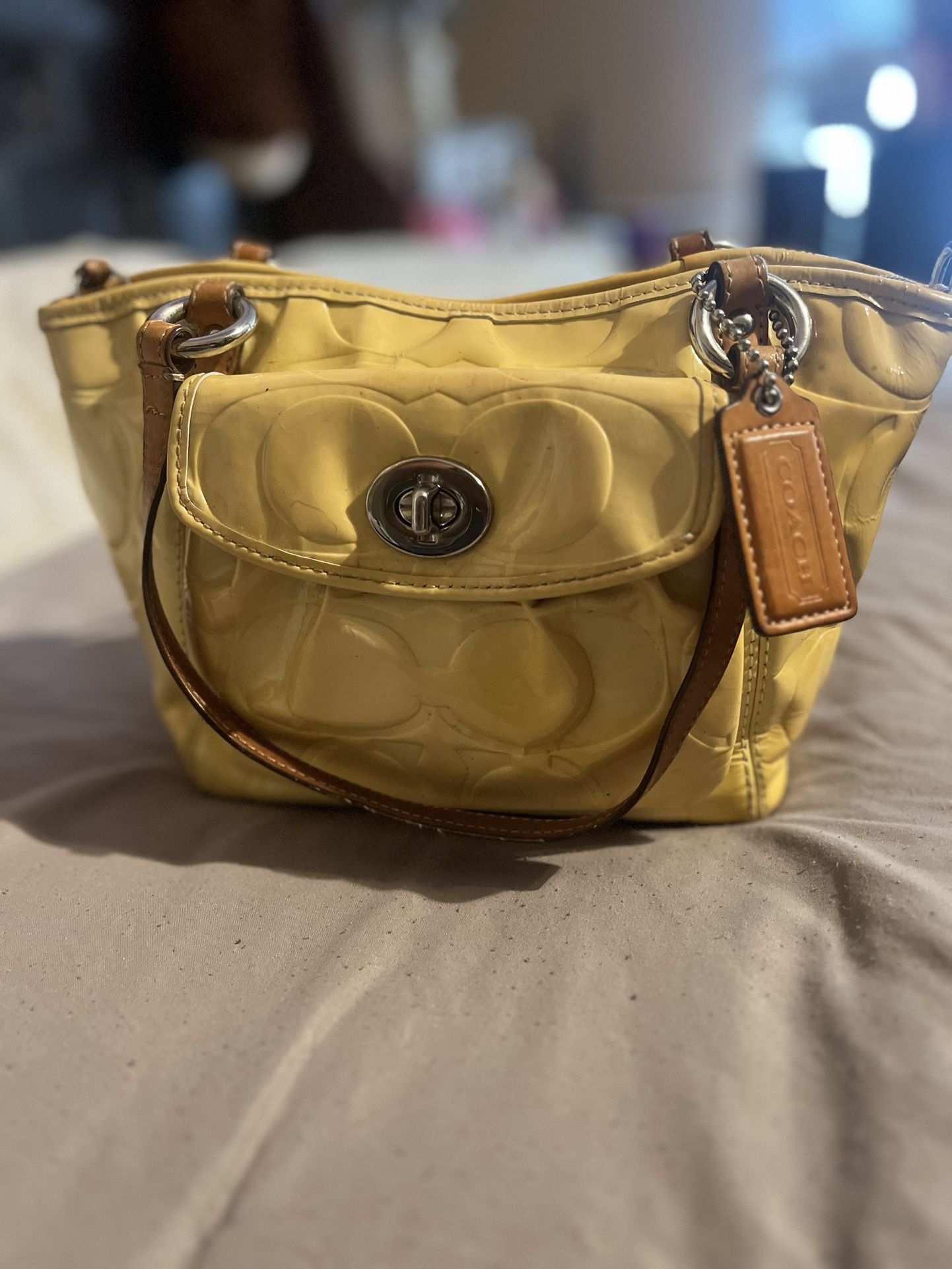 vintage coach needs cleaning inside