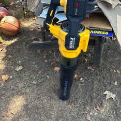 Leaf Blower No Battery