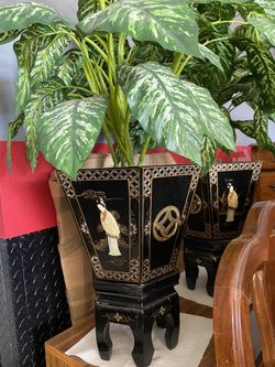 Orinetal Potter Plant  *Galvanished Metal Insert
