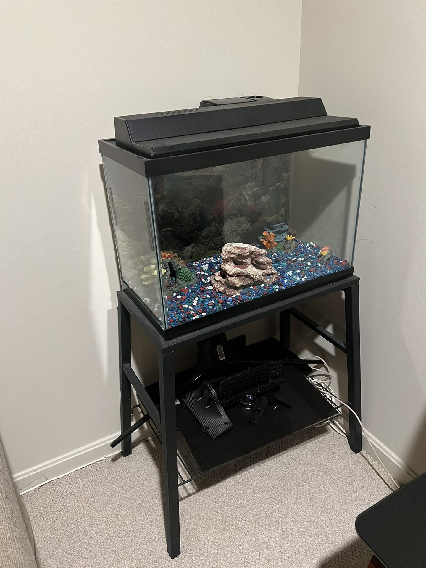 Large Fish Tank with Stand β $100 OBO