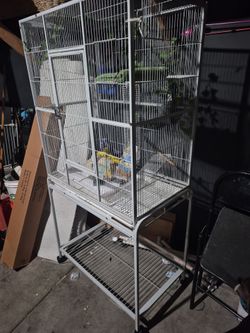 Big bird cage