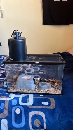 Reptile tank