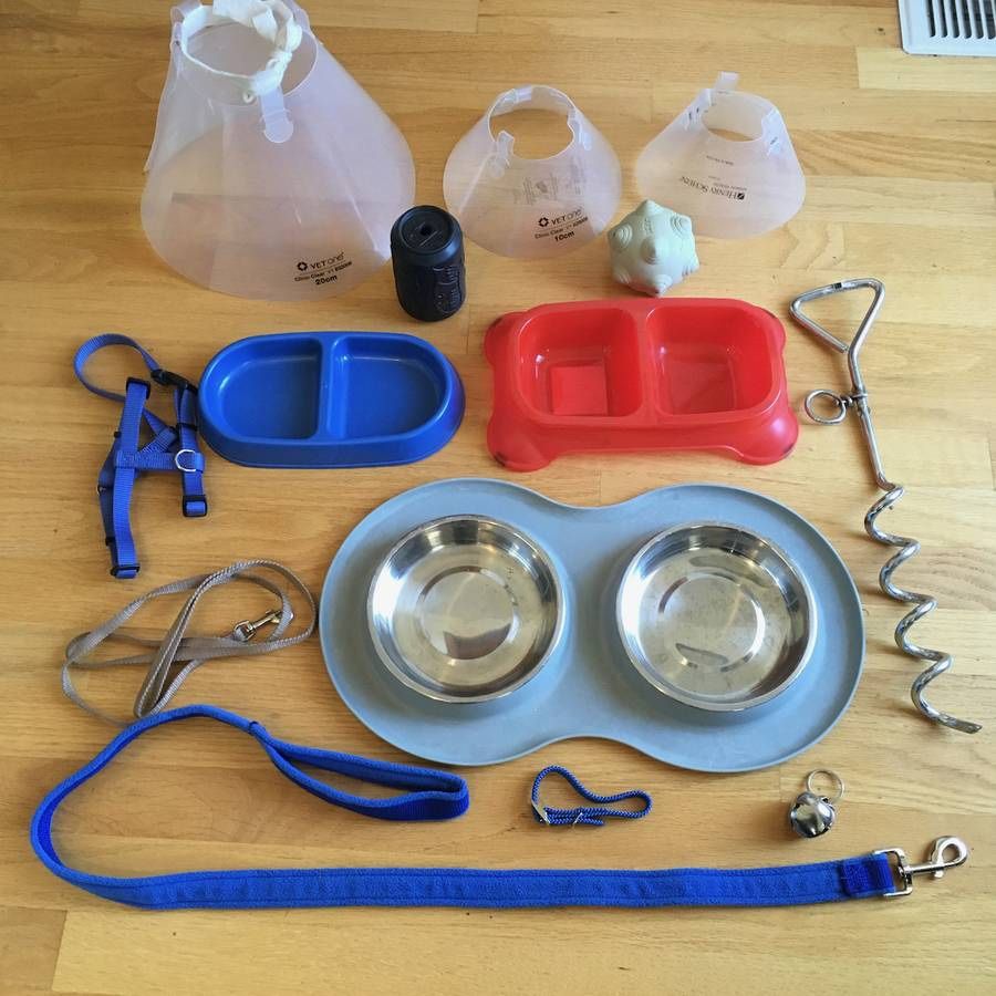 Large Lot Small Medium Dog or Large Cat Food Dishes Toys Leash Collar