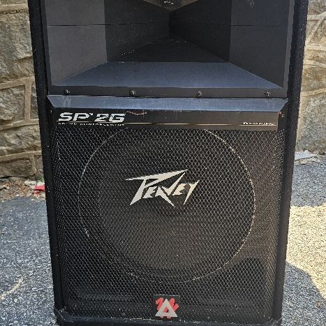 Peavey SP2G 15 Inch Speaker for Sale in Brookhaven, PA - OfferUp