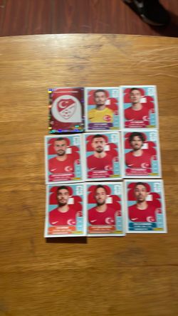 Panini Turkey National Team Stickers