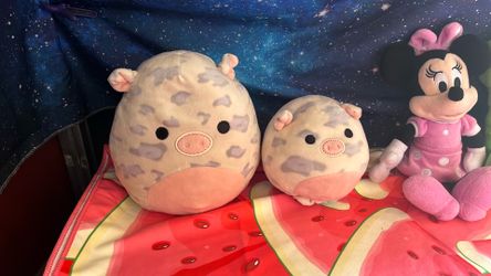 Assorted stuffed animals