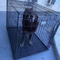 Dog Cage / Kennel