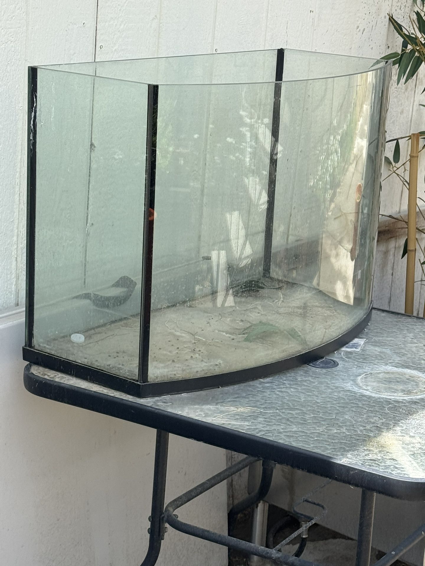 Tanque De Pecera