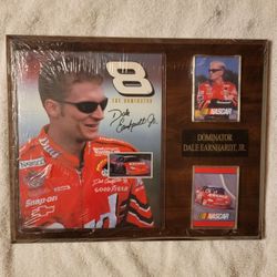 Nascar/ Dominator Dale Earnhardt JR./Mohagany Plaque