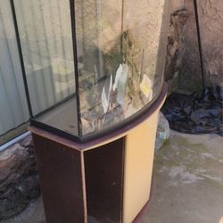 Bow Front Aquarium / Fish Tank And Stand