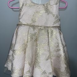 Rose Gold Dress ( Baby Medium) 