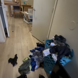 Cleaning Out Apartment 