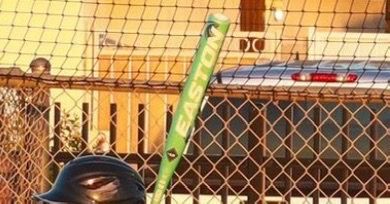 Easton bat