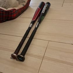 Bats