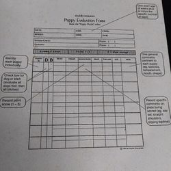 Puppy Evaluation Forms