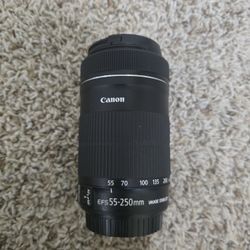 Canon EF-S 55-250mm IS STM Zoom Lens!