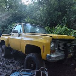 Read The Description, Yellow Square Body