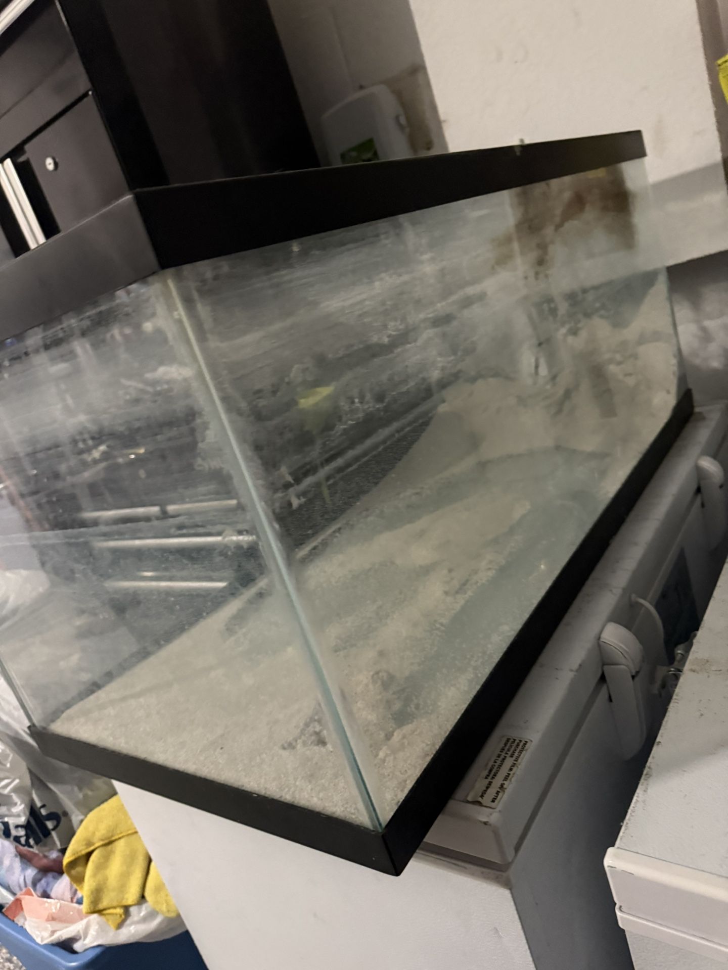 40 Gallon Breeder Tank