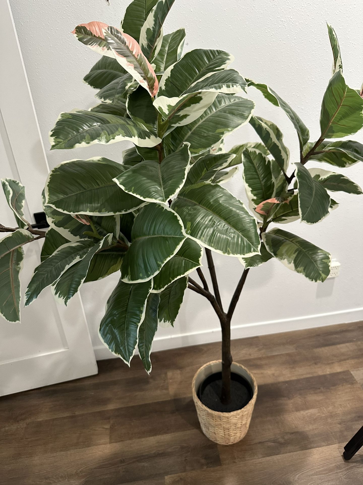 Ikea FEJKA Artificial potted plant, indoor/outdoor Rubber plant, 9 "