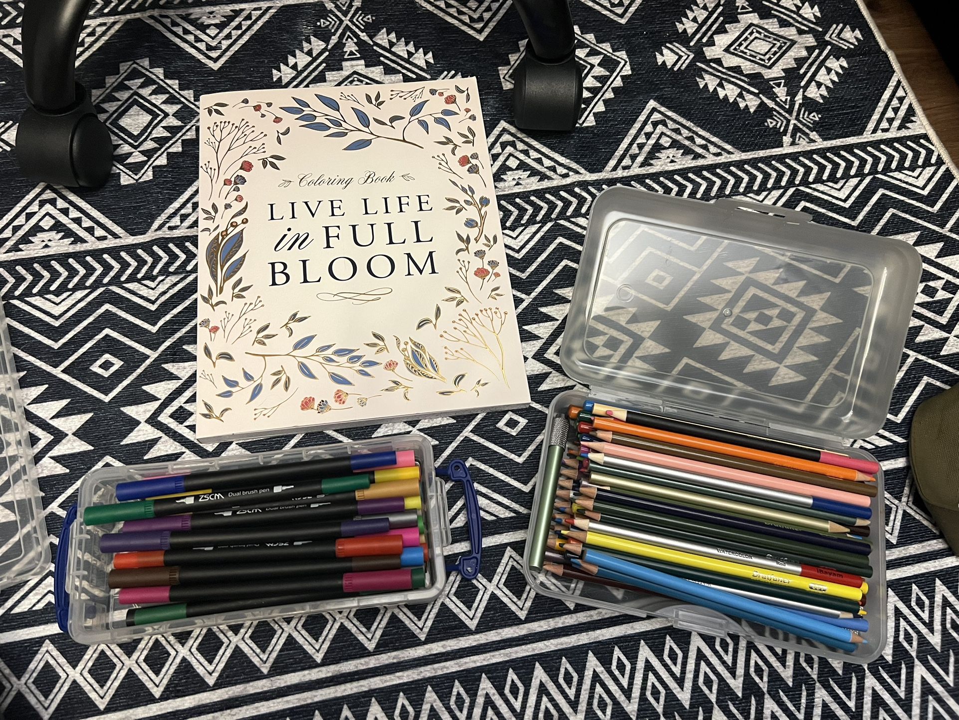 Coloring Book With Markers And Pencils