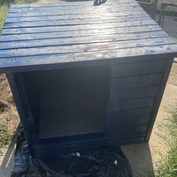Dog House 