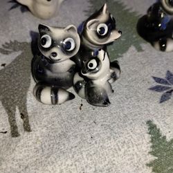 Super Cute Raccoons Even A Little Baby One