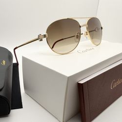Cartier Aviator Premier 24K Gold/Brown Vintage Wire Buffalo Horn Buffs Glasses