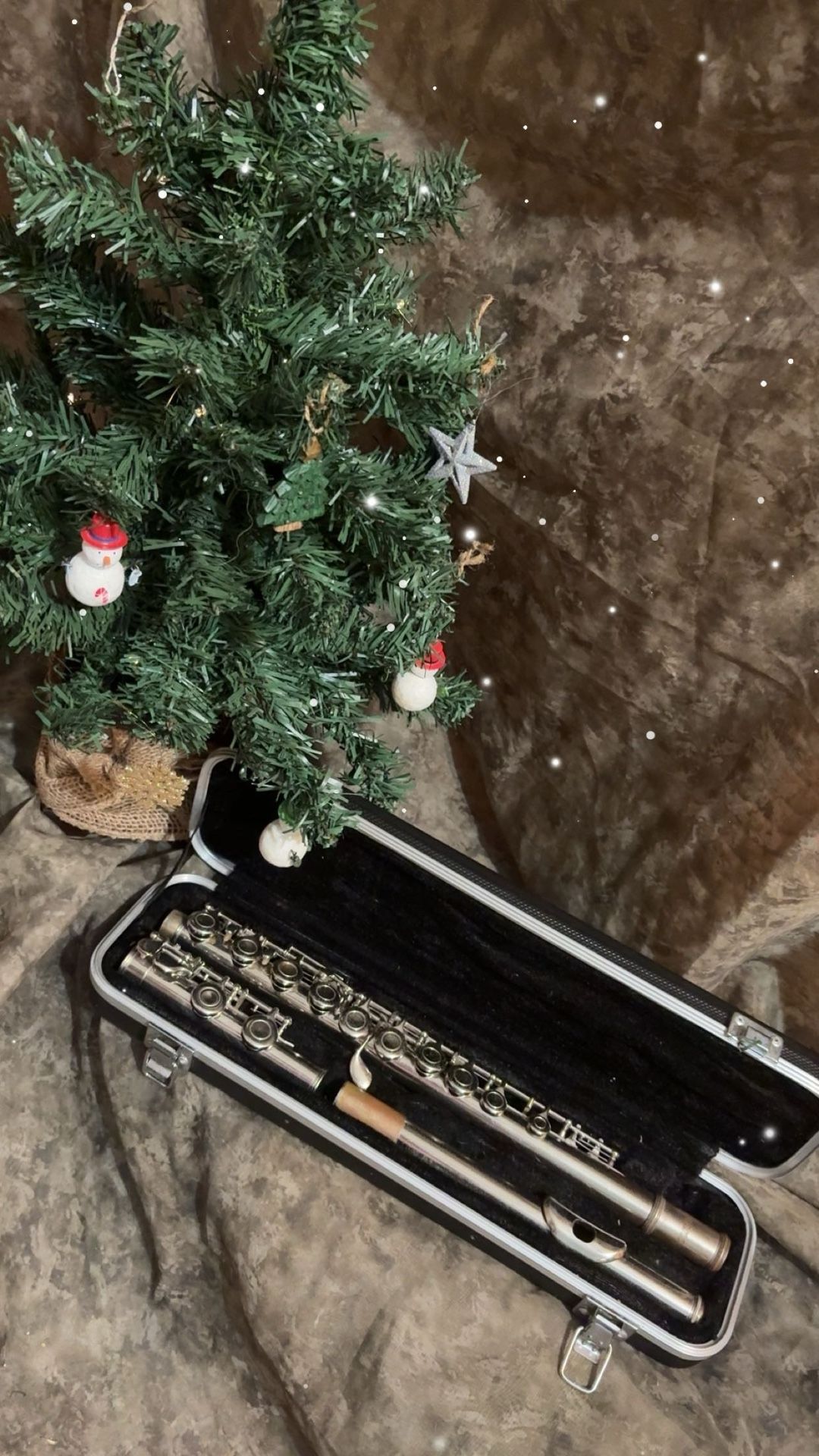 🍭Vintage Merana Flute🍭