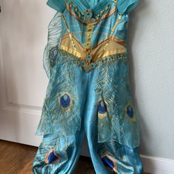 Jasmine Dress Up Costume Sz Small 