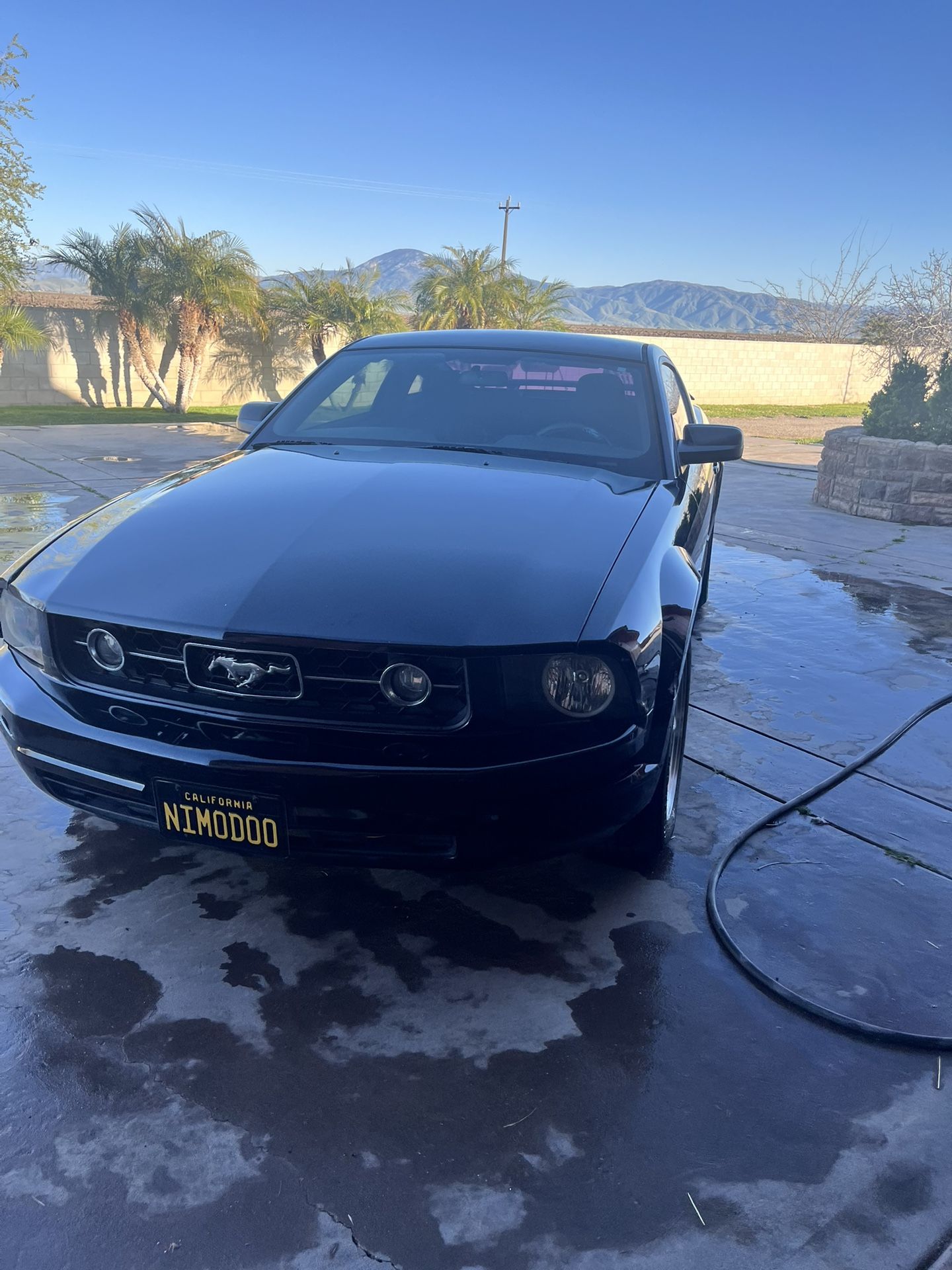 2006 Ford Mustang