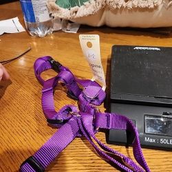 LupinePet Purple 3/4" Adjustable Roman Dog Harness, 12-20", Small Dogs