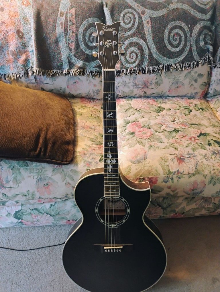 Synister Gates Electric Acoustic With Tonewood Amp