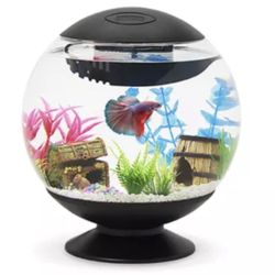 Top Fin Classic Sphere Aquarium 3 gallon