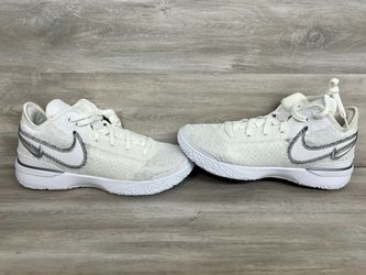 Nike DR8784-004 Zoom LeBron NXXT Gen White/Metallic Silver Size 11.5 Basketball Shoes (PO1021166)