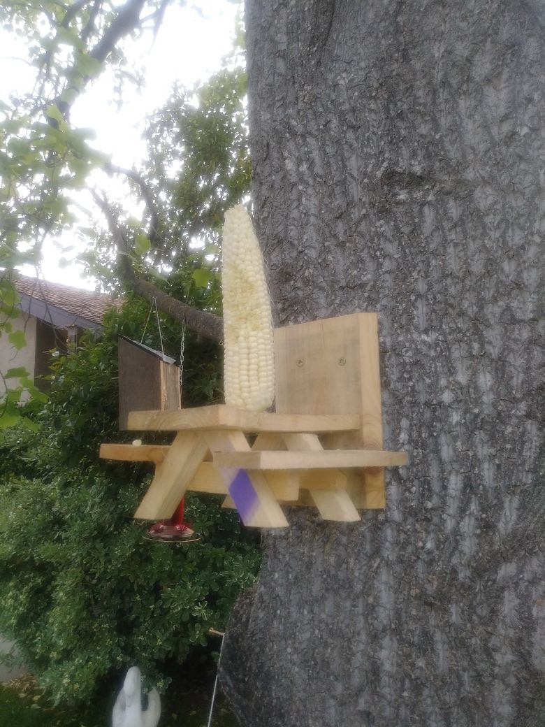 Rustic squirrel picnic tables