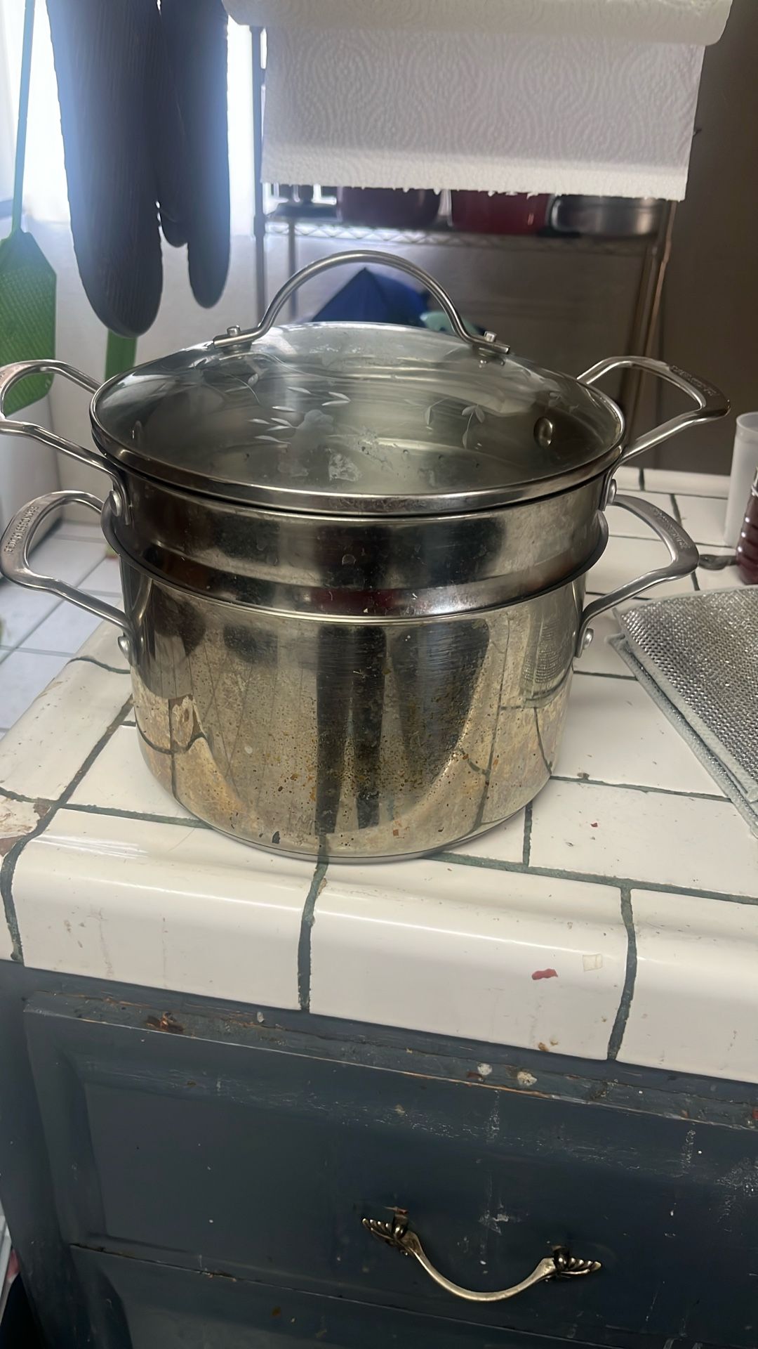 Princess House Stainless Steel 5 QT Steamer Por